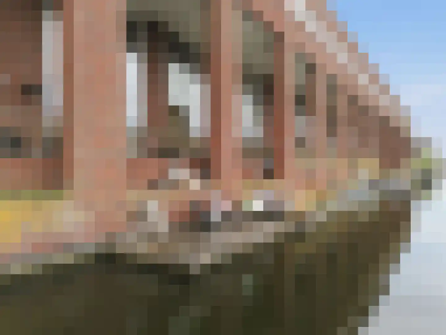 Polygoongracht 28 Amsterdam thumbnail 49