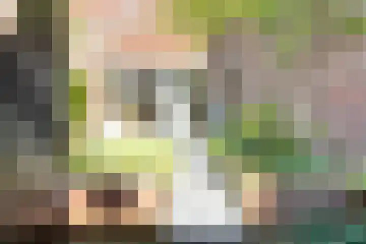 Polygoongracht 34 Amsterdam thumbnail 4