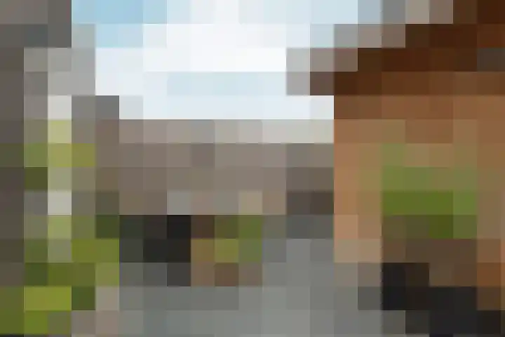 Polykarp Kuschstraat 4 Almere thumbnail 4