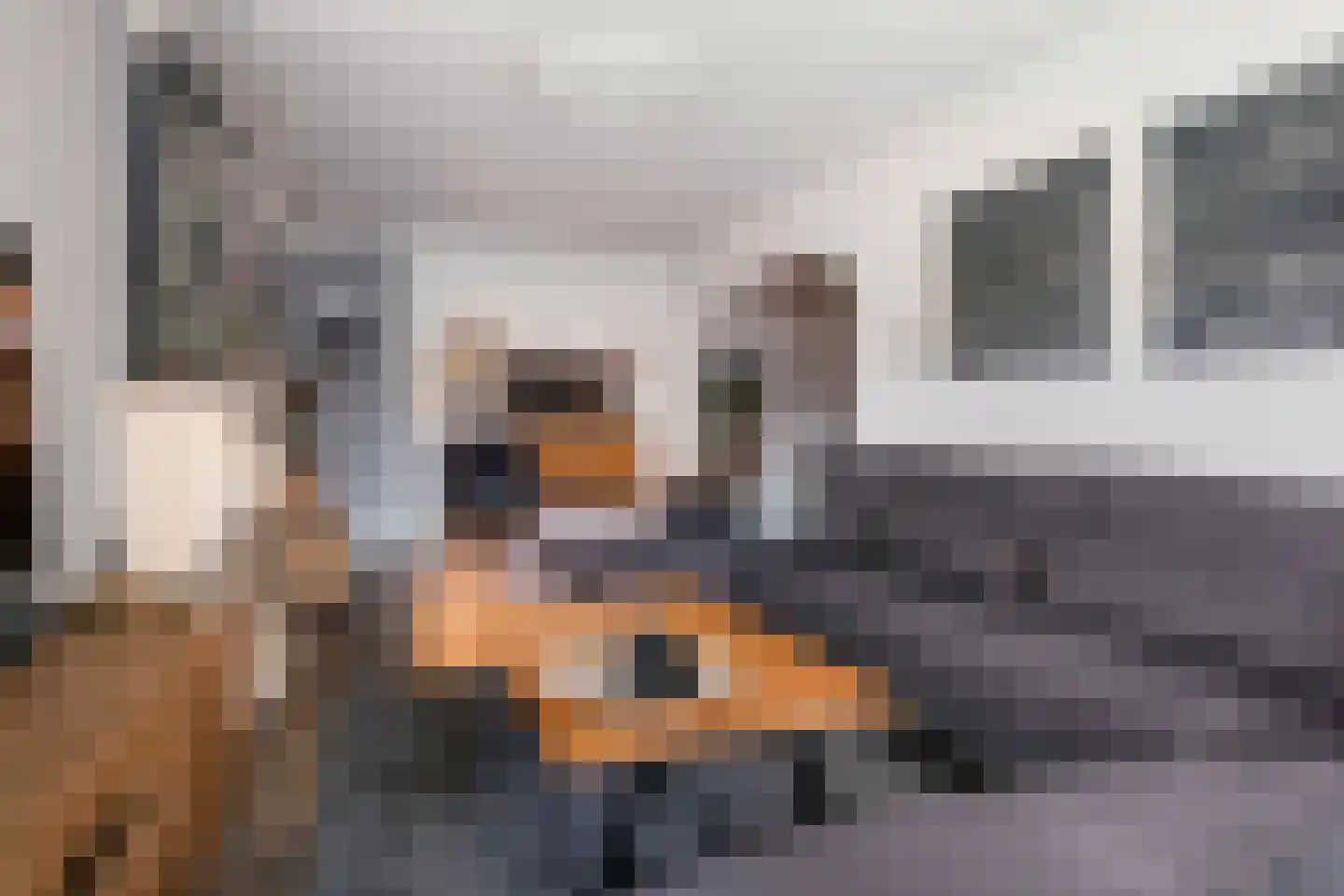 Pomeranusstraat 1 Etten-Leur thumbnail 11