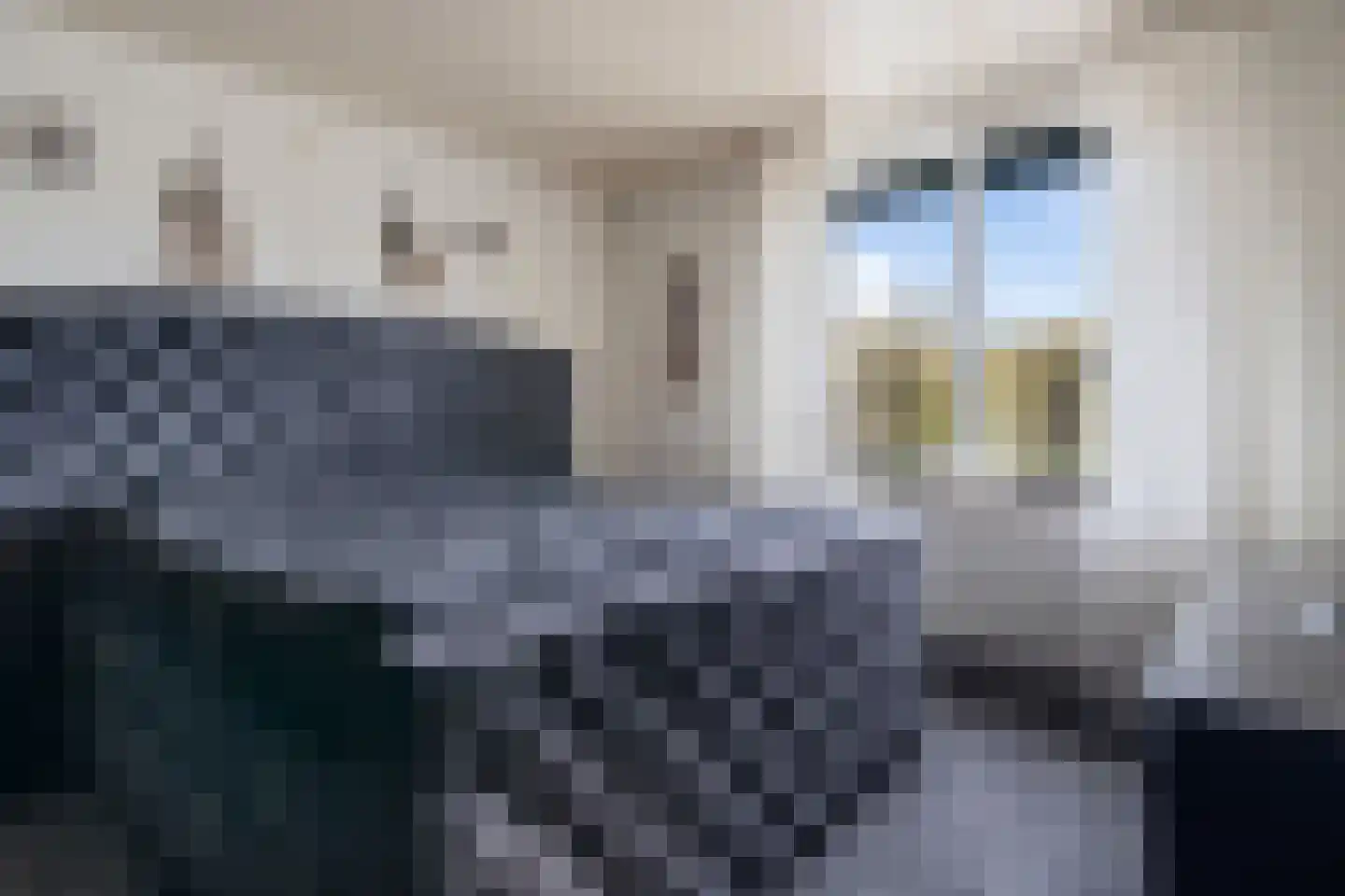 Pomeranusstraat 1 Etten-Leur thumbnail 24