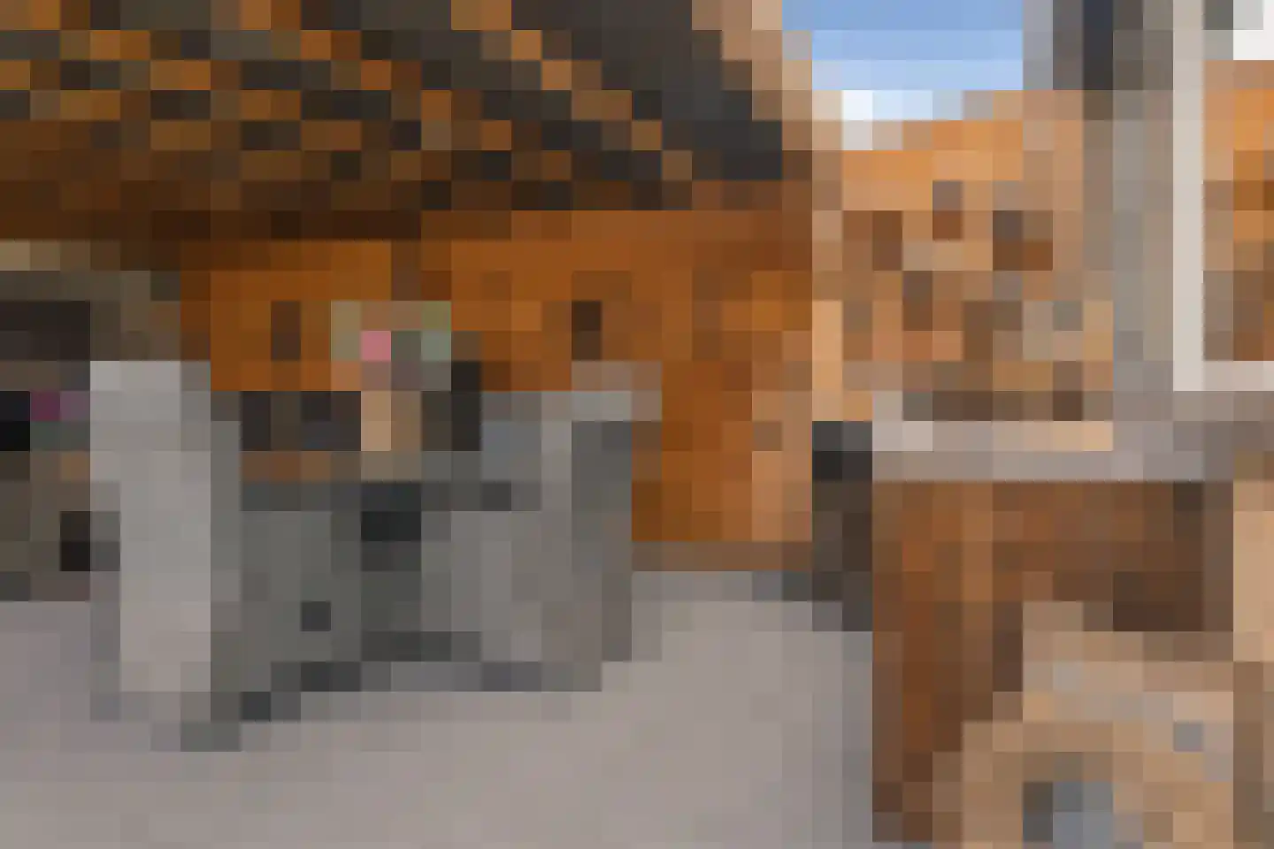 Pomeranusstraat 1 Etten-Leur thumbnail 37