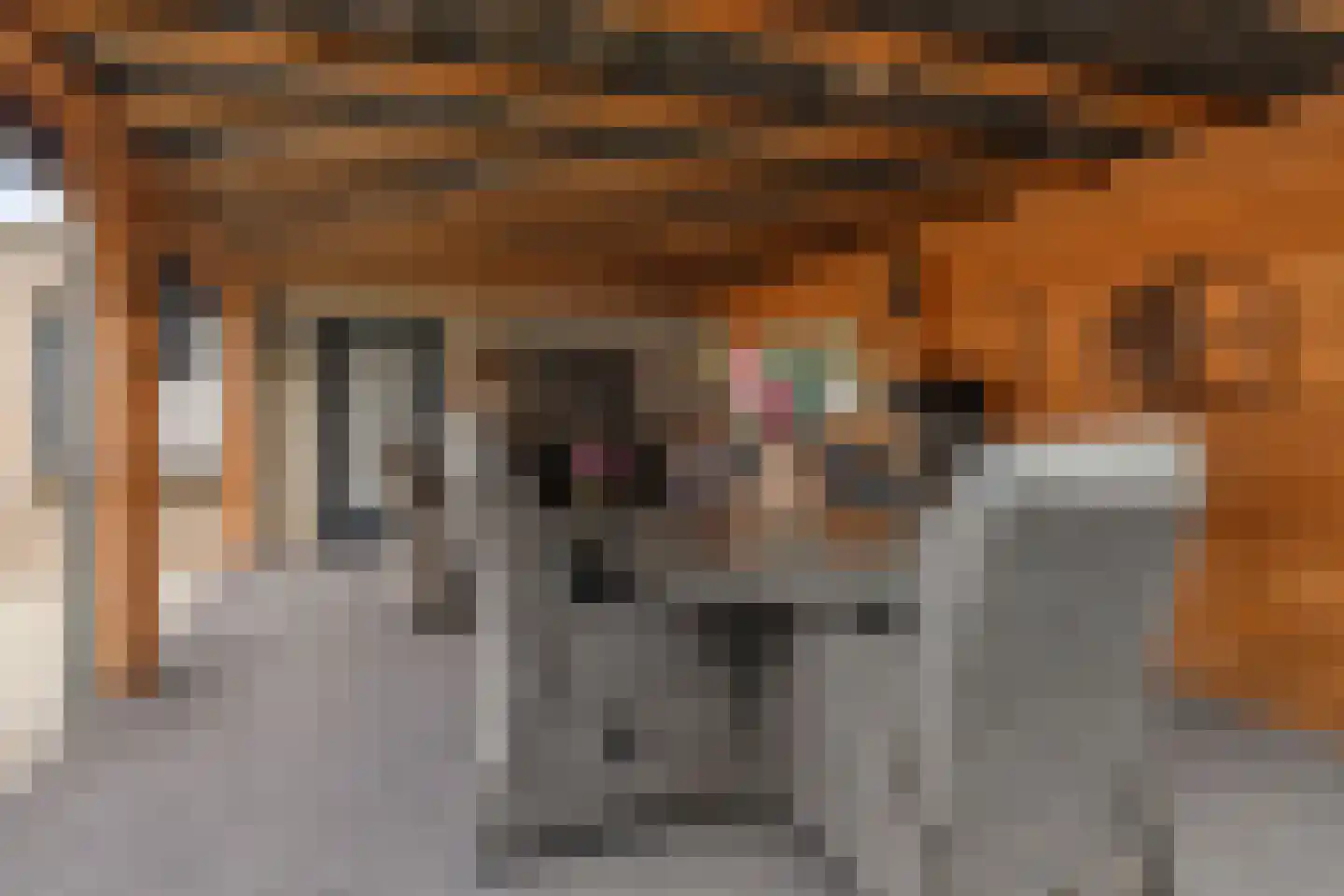 Pomeranusstraat 1 Etten-Leur thumbnail 38