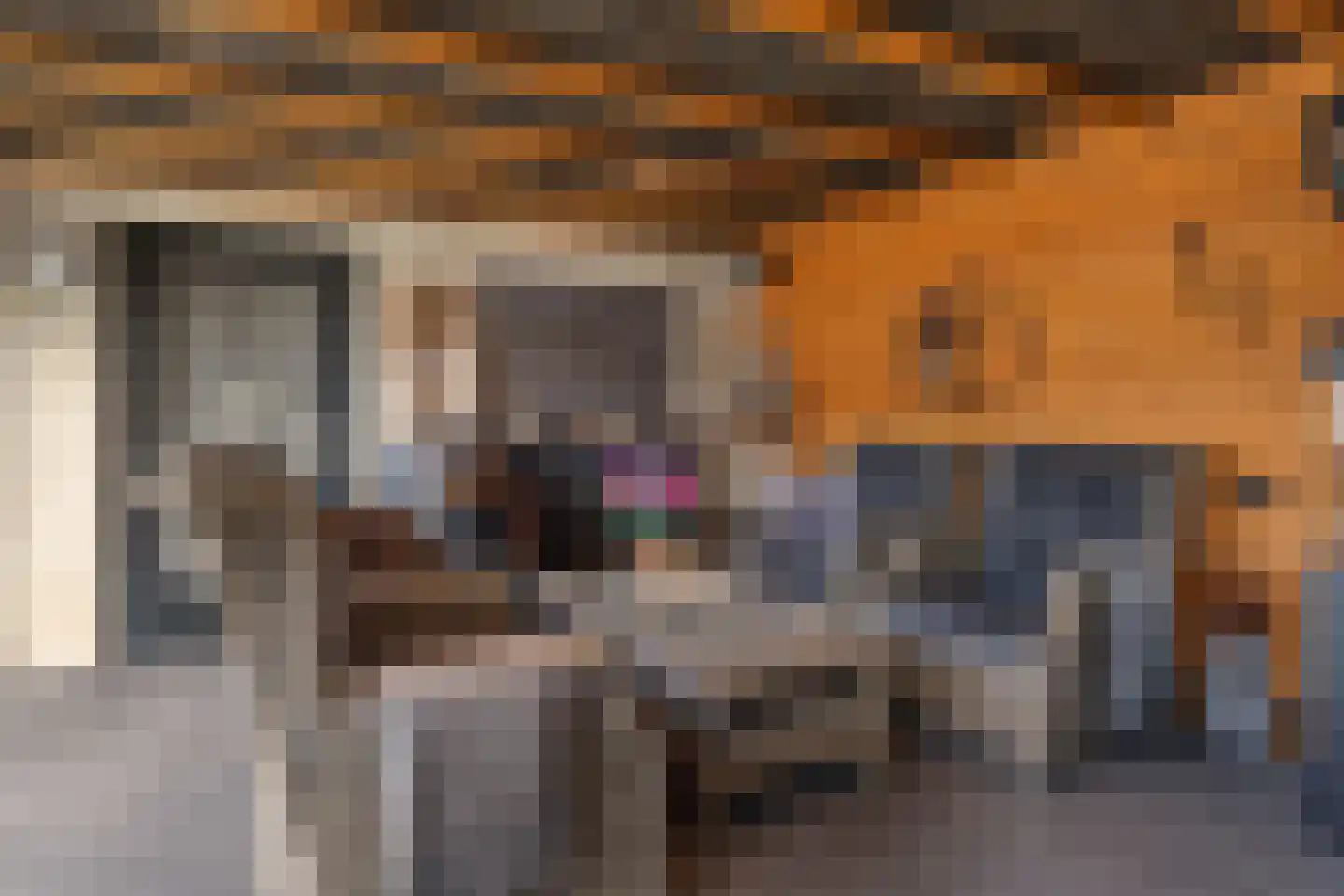 Pomeranusstraat 1 Etten-Leur thumbnail 39