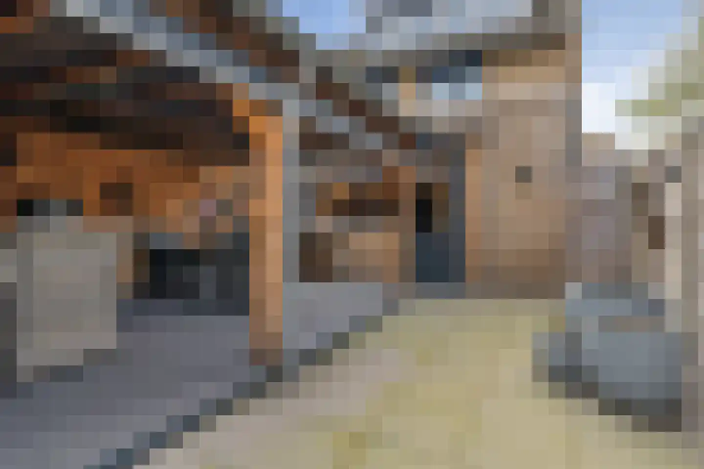 Pomeranusstraat 1 Etten-Leur thumbnail 42