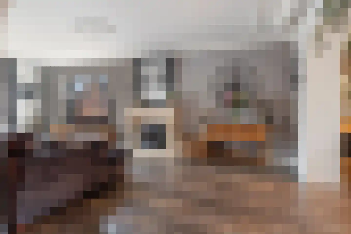 Pomeranusstraat 1 Etten-Leur thumbnail 7