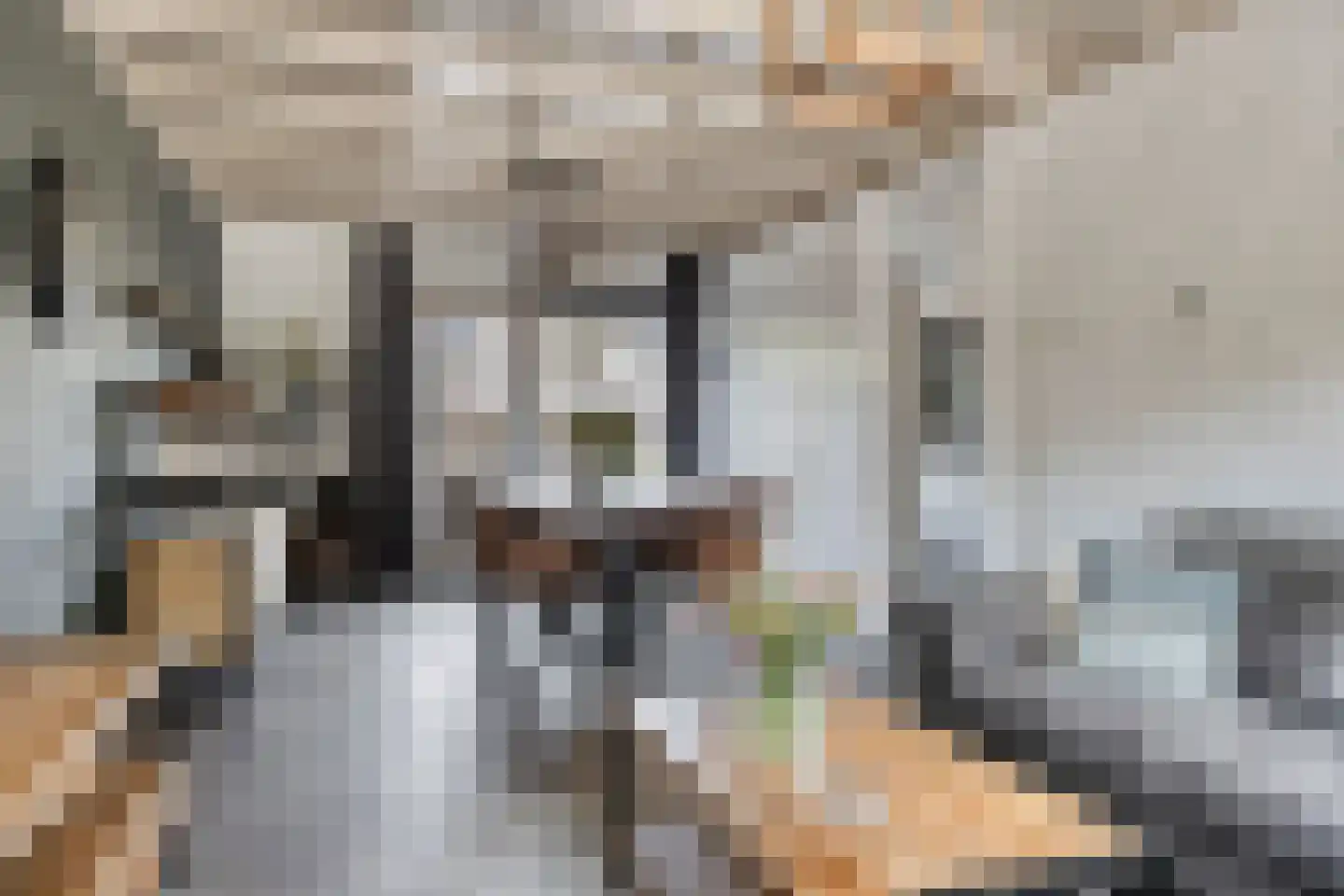 Pomeranusstraat 13 Etten-Leur thumbnail 12
