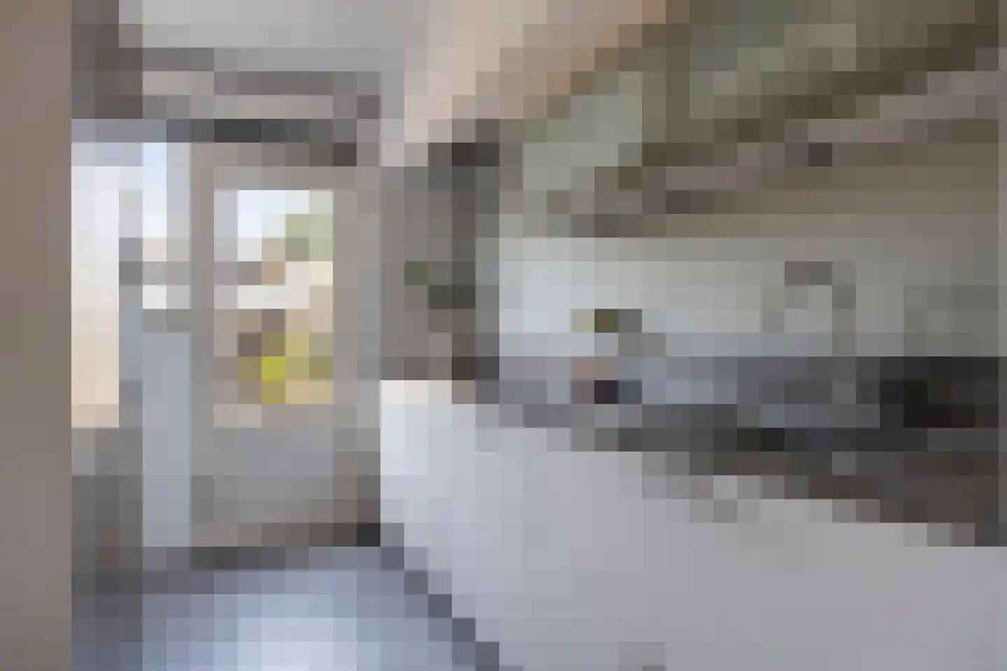 Pomeranusstraat 13 Etten-Leur thumbnail 17