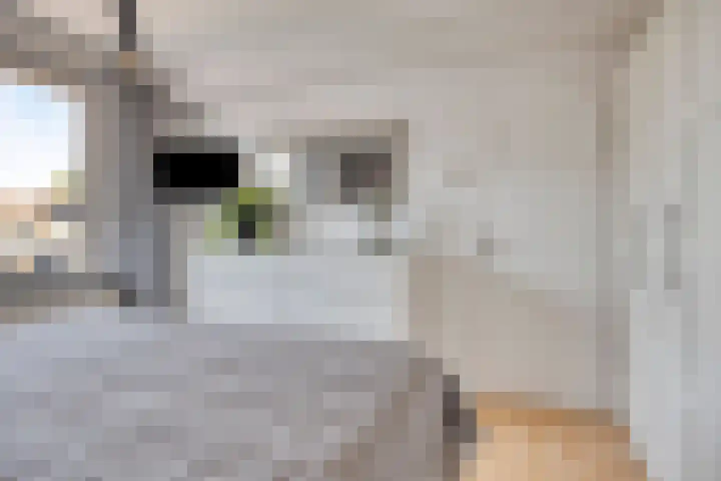 Pomeranusstraat 13 Etten-Leur thumbnail 23
