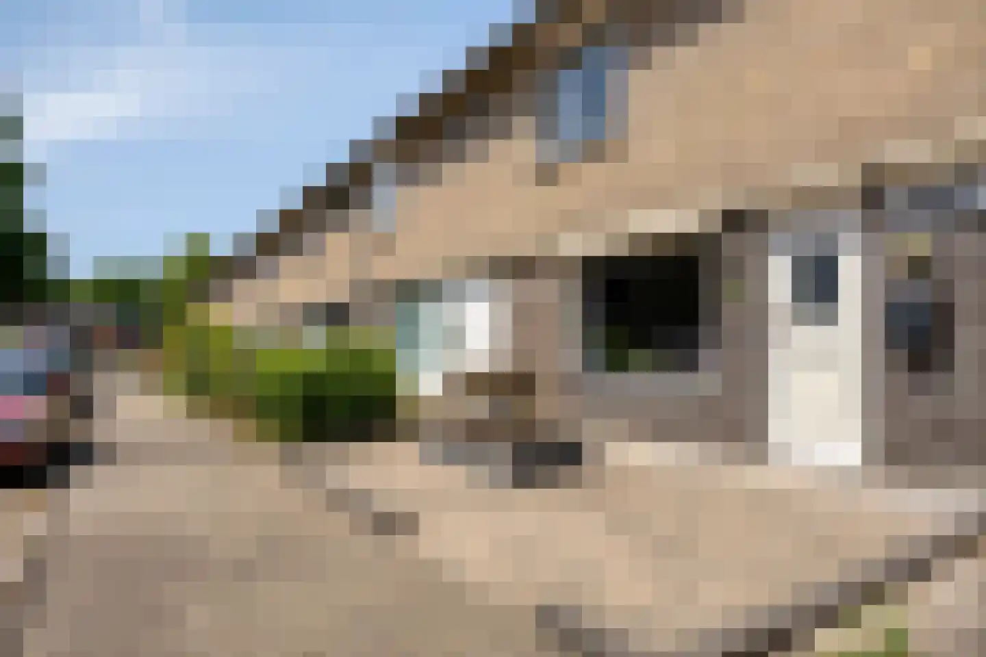 Pomeranusstraat 13 Etten-Leur thumbnail 7