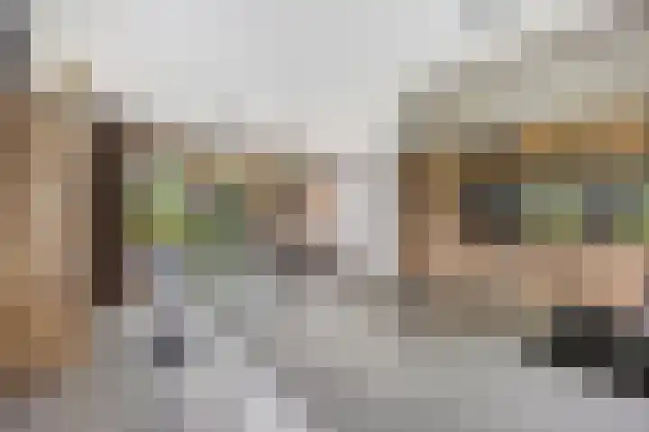 Pommer 1 Nuth thumbnail 10