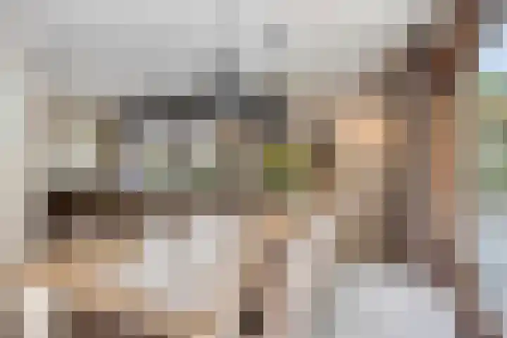 Pommer 1 Nuth thumbnail 11
