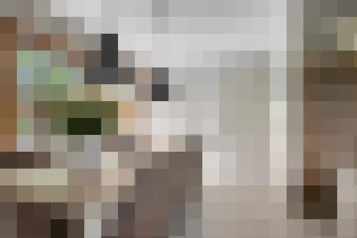 Pommer 1 Nuth thumbnail 12