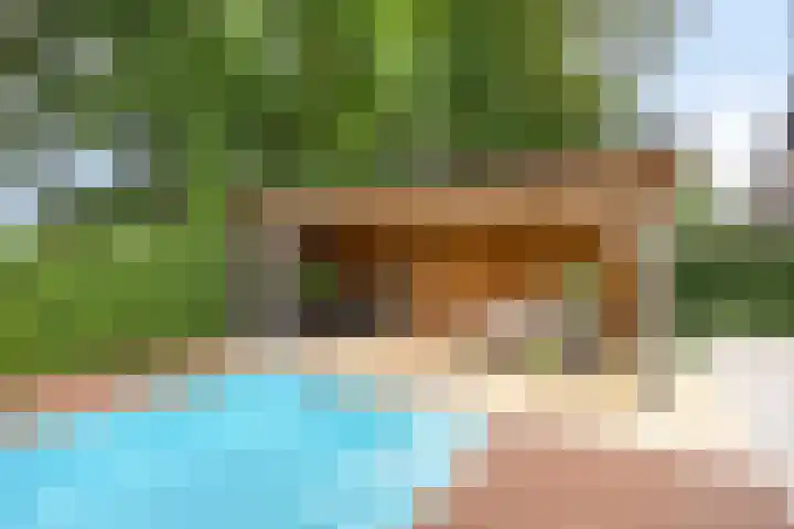 Pommer 1 Nuth thumbnail 15