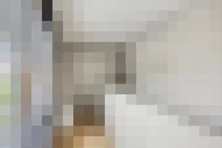 Pommer 1 Nuth thumbnail 18