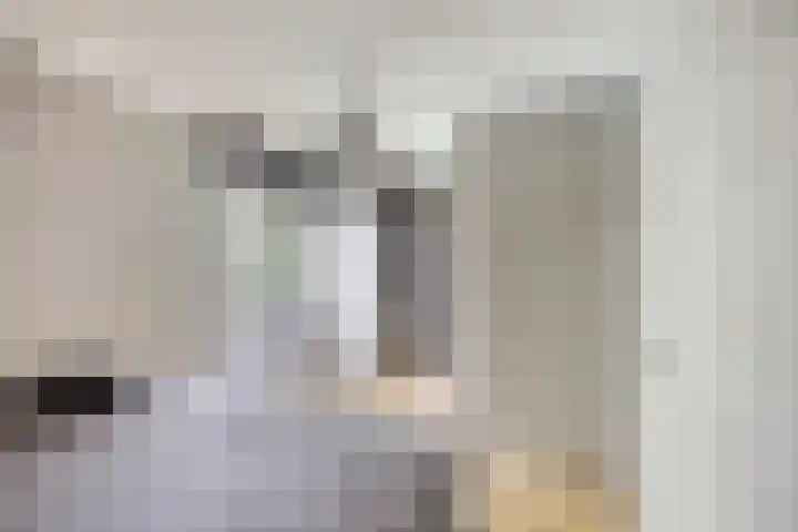 Pommer 1 Nuth thumbnail 19