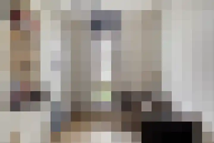 Pommer 1 Nuth thumbnail 24