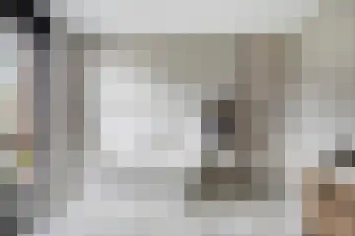 Pommer 1 Nuth thumbnail 25