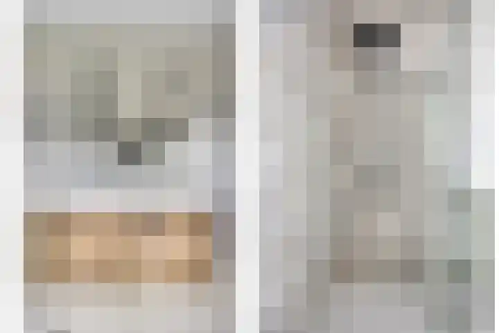 Pommer 1 Nuth thumbnail 26