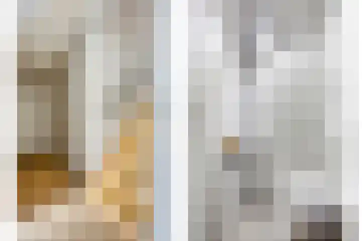 Pommer 1 Nuth thumbnail 27