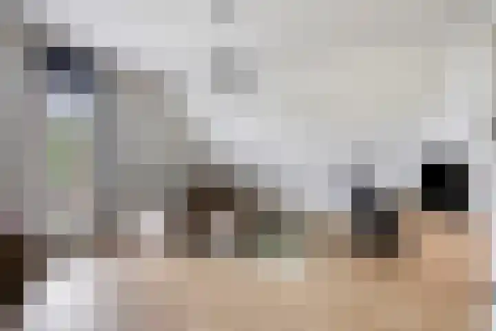 Pommer 1 Nuth thumbnail 28