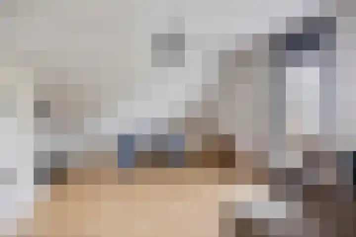 Pommer 1 Nuth thumbnail 29