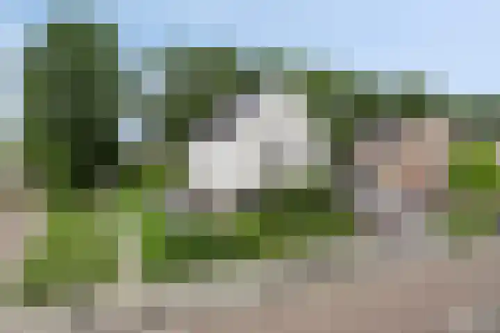 Pommer 1 Nuth thumbnail 5