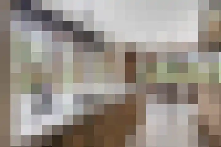 Pommer 1 Nuth thumbnail 9