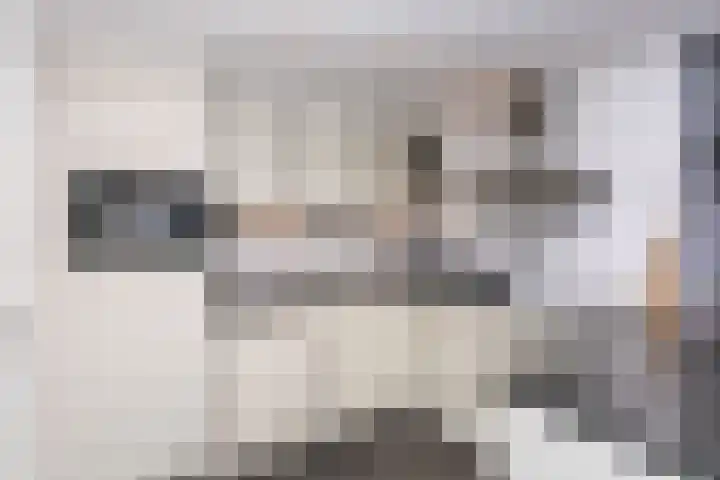 Pommer 6 Nuth thumbnail 10