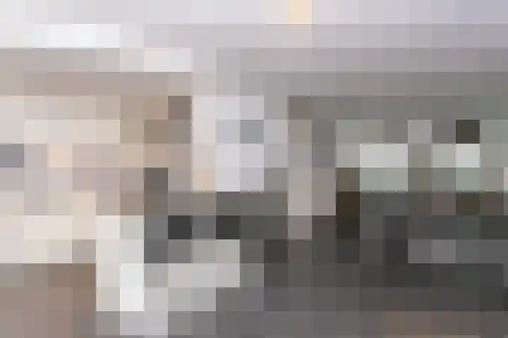 Pommer 6 Nuth thumbnail 11
