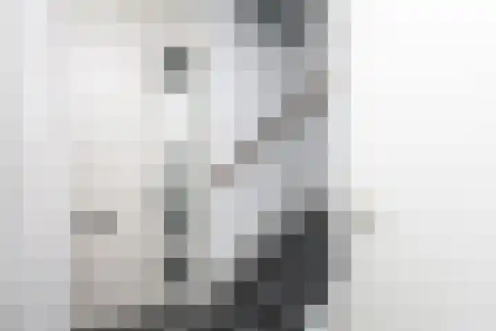 Pommer 6 Nuth thumbnail 14
