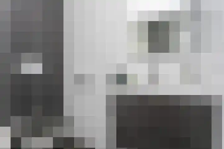 Pommer 6 Nuth thumbnail 15