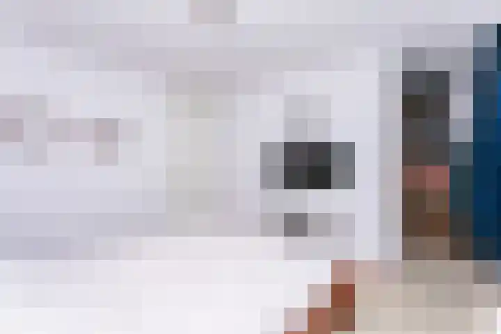 Pommer 6 Nuth thumbnail 17