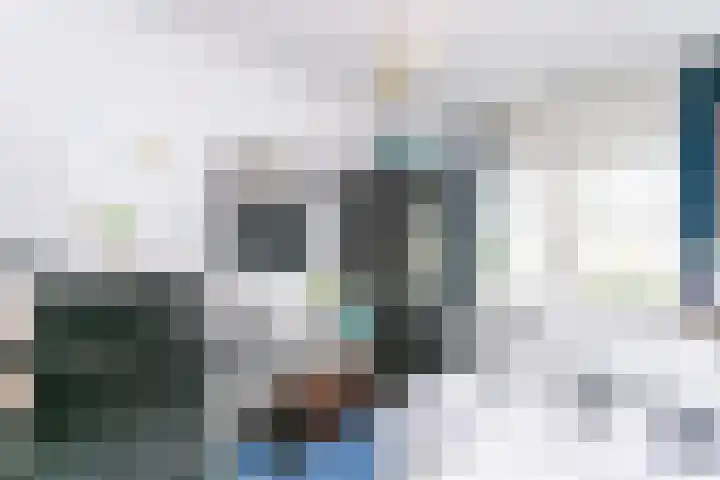 Pommer 6 Nuth thumbnail 19