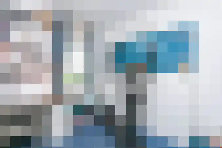 Pommer 6 Nuth thumbnail 20