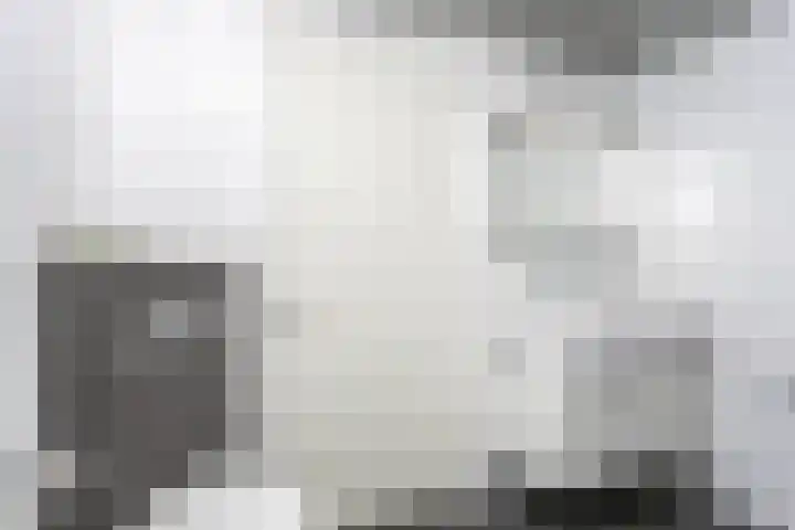 Pommer 6 Nuth thumbnail 21