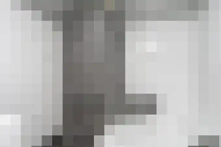 Pommer 6 Nuth thumbnail 22