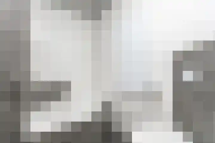 Pommer 6 Nuth thumbnail 23