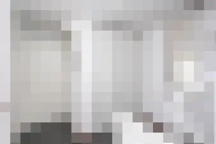 Pommer 6 Nuth thumbnail 25