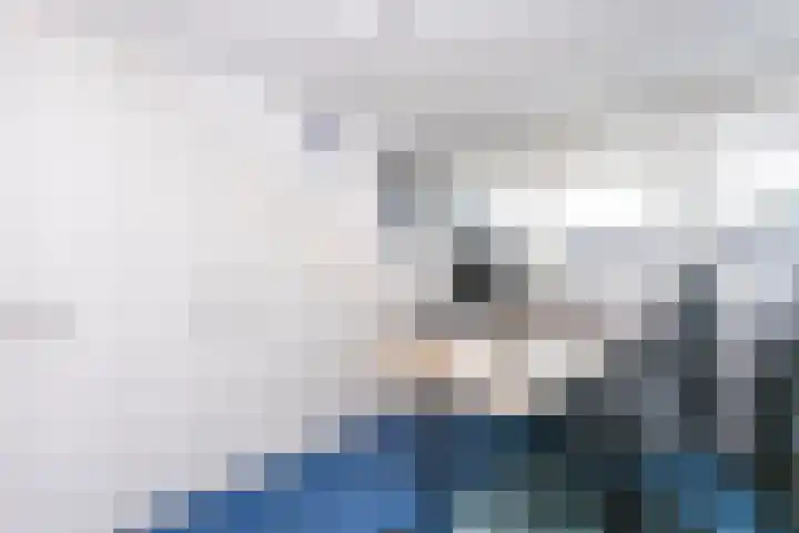 Pommer 6 Nuth thumbnail 26