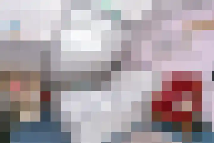 Pommer 6 Nuth thumbnail 27