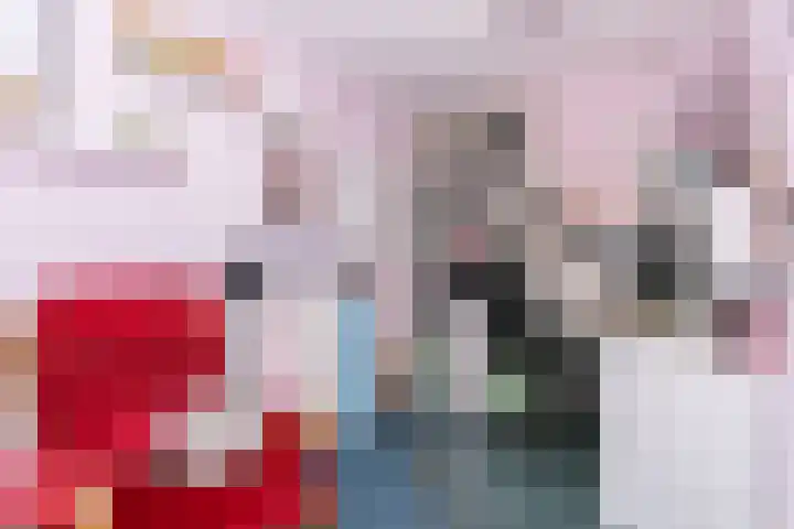 Pommer 6 Nuth thumbnail 28