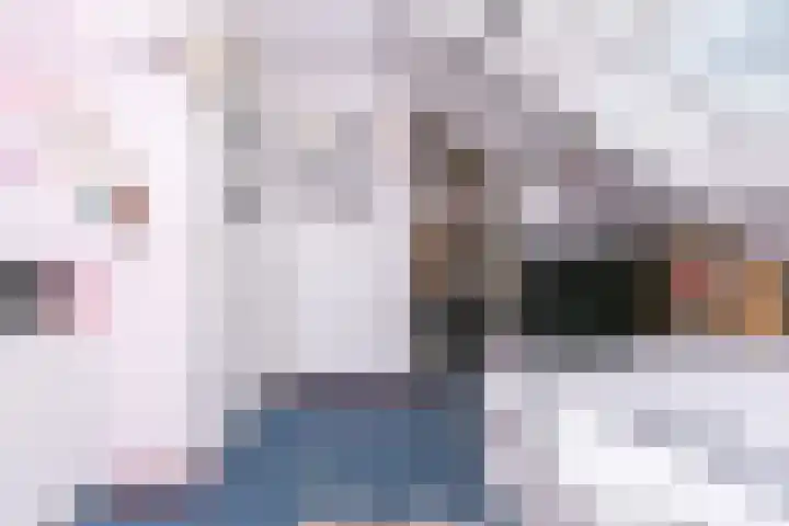 Pommer 6 Nuth thumbnail 29