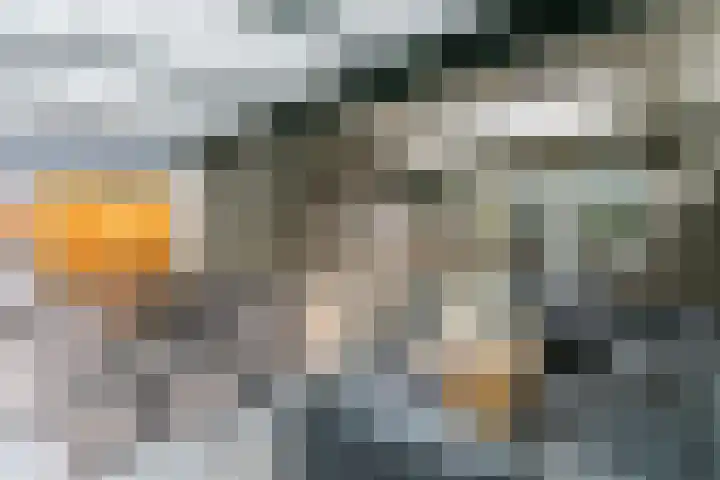 Pommer 6 Nuth thumbnail 30