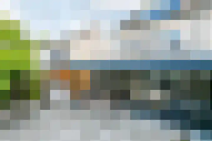 Pommer 6 Nuth thumbnail 31