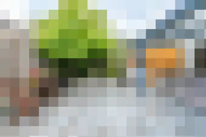 Pommer 6 Nuth thumbnail 32