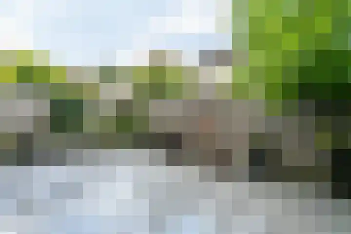 Pommer 6 Nuth thumbnail 34