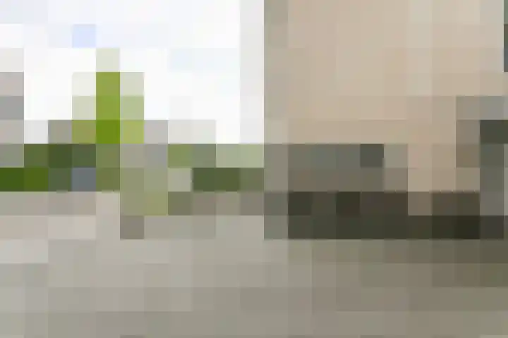 Pommer 6 Nuth thumbnail 37