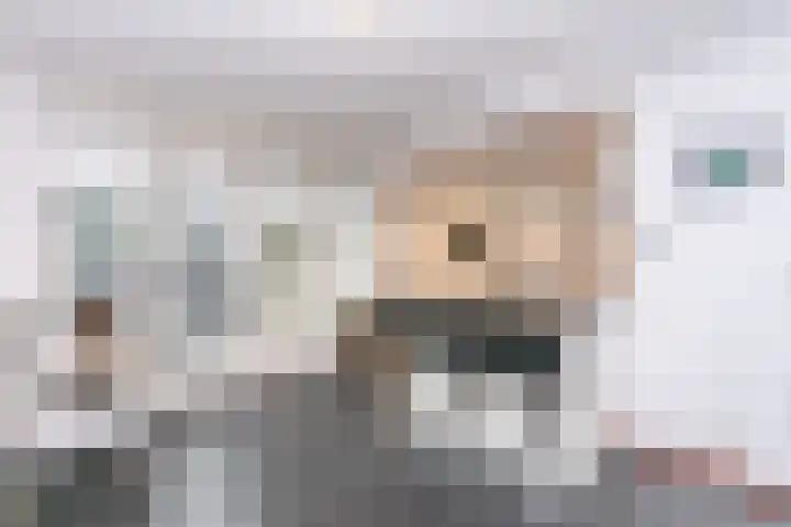 Pommer 6 Nuth thumbnail 8
