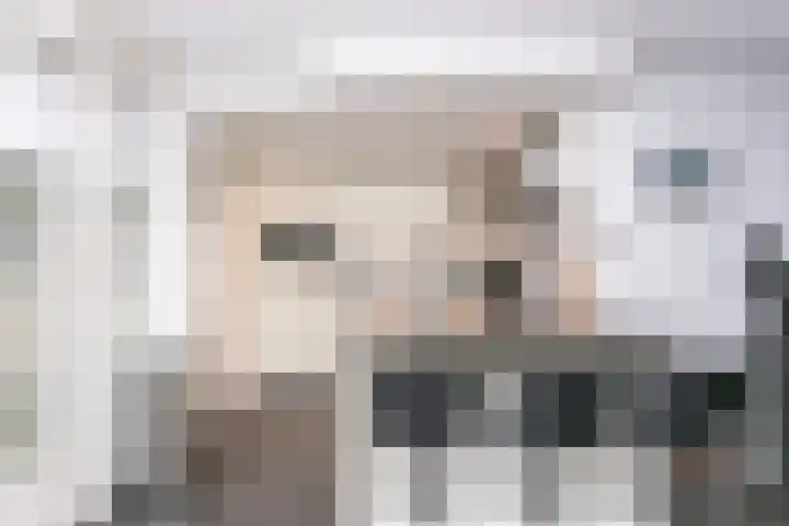 Pommer 6 Nuth thumbnail 9